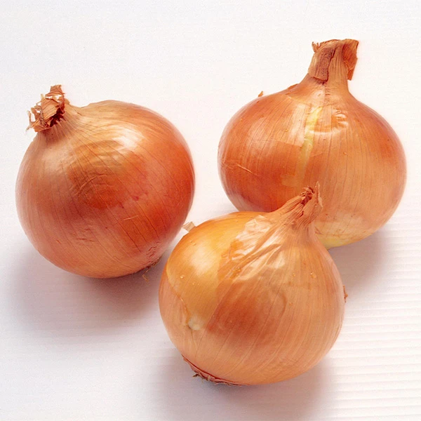 Orgánach úra 20kg Pacáil Oinniún Buí